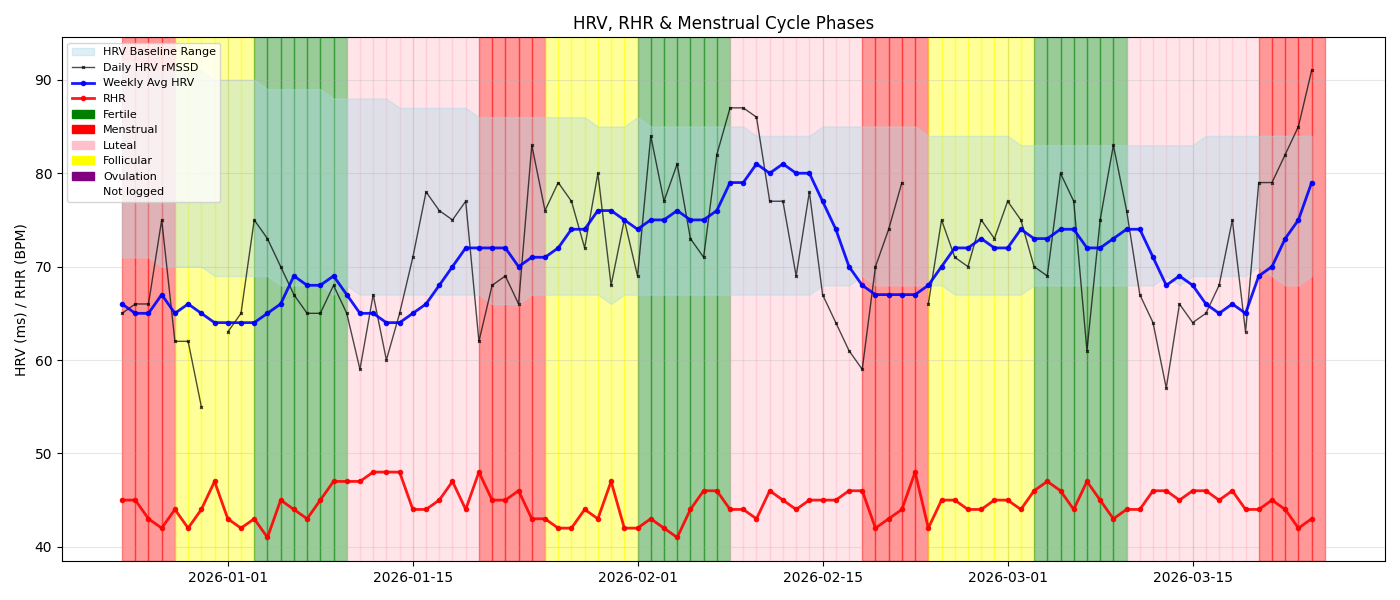 Daily HRV and resting HR over three months, shaded by menstrual cycle phase