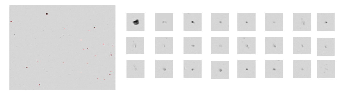 Particle snippets extracted from a microscopic flow-imaging scan